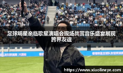 足球明星亲临歌星演唱会现场共赏音乐盛宴展现跨界友谊